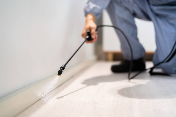 Licensed Cockroach Control service in Fairfield County County, OH - Nex Pest Control