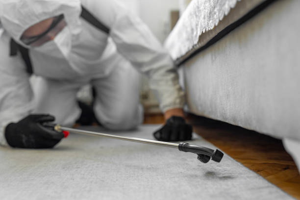 Professional Cockroach Control technician working in Fairfield County County, OH